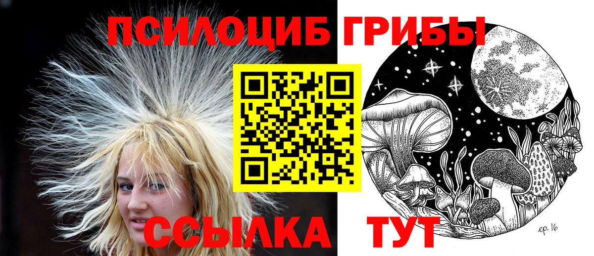 Галлюциногенные грибы ЛСД  магазин    Саранск  Вход с VPN 